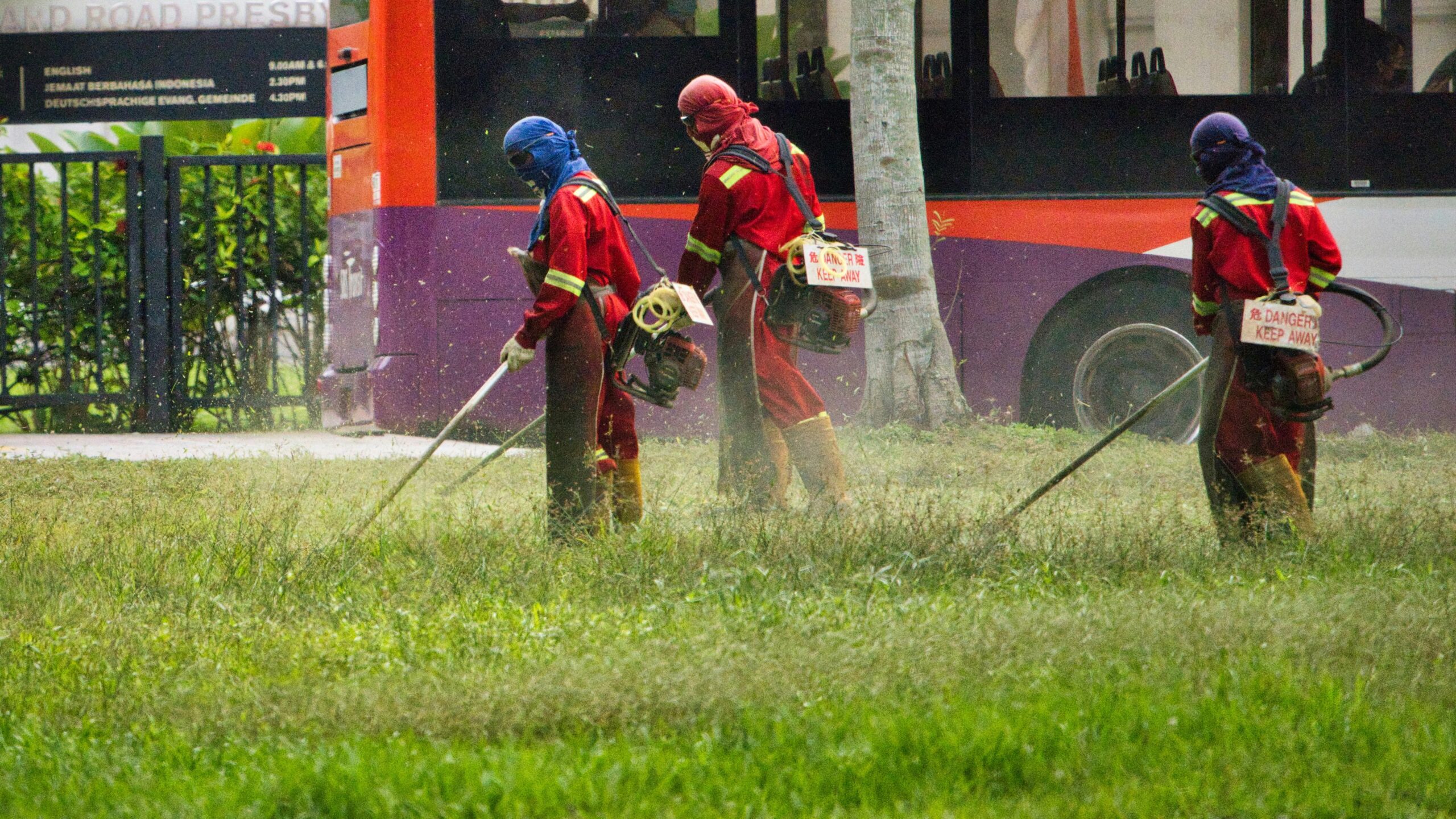 Plagas 01 Scaled